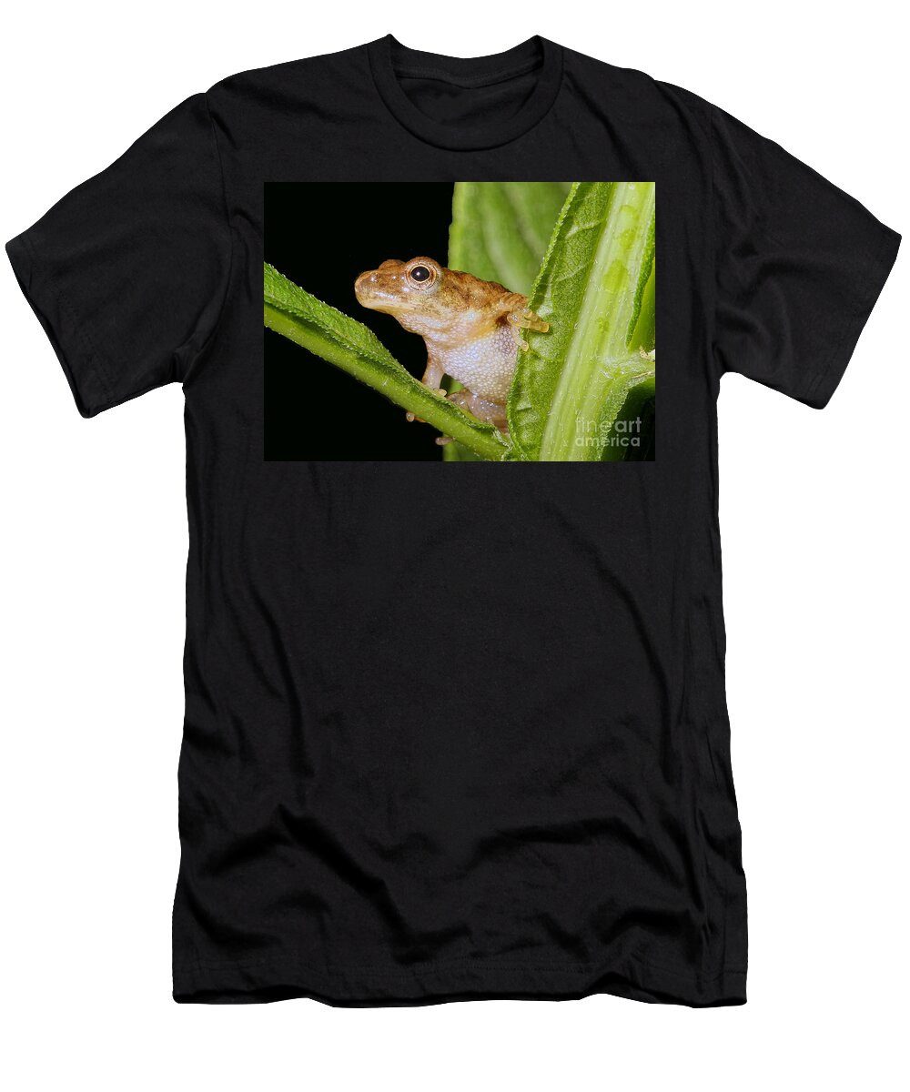 Frogs T-Shirt featuring the photograph Peek-A-Boo by Geoff Crego