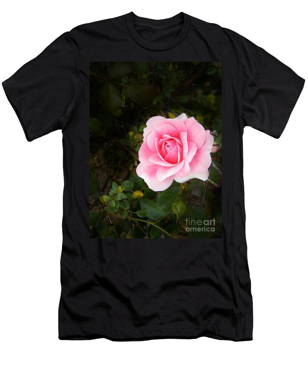 Springtime T-Shirt featuring the photograph Personally Pink by Matthew Seufer