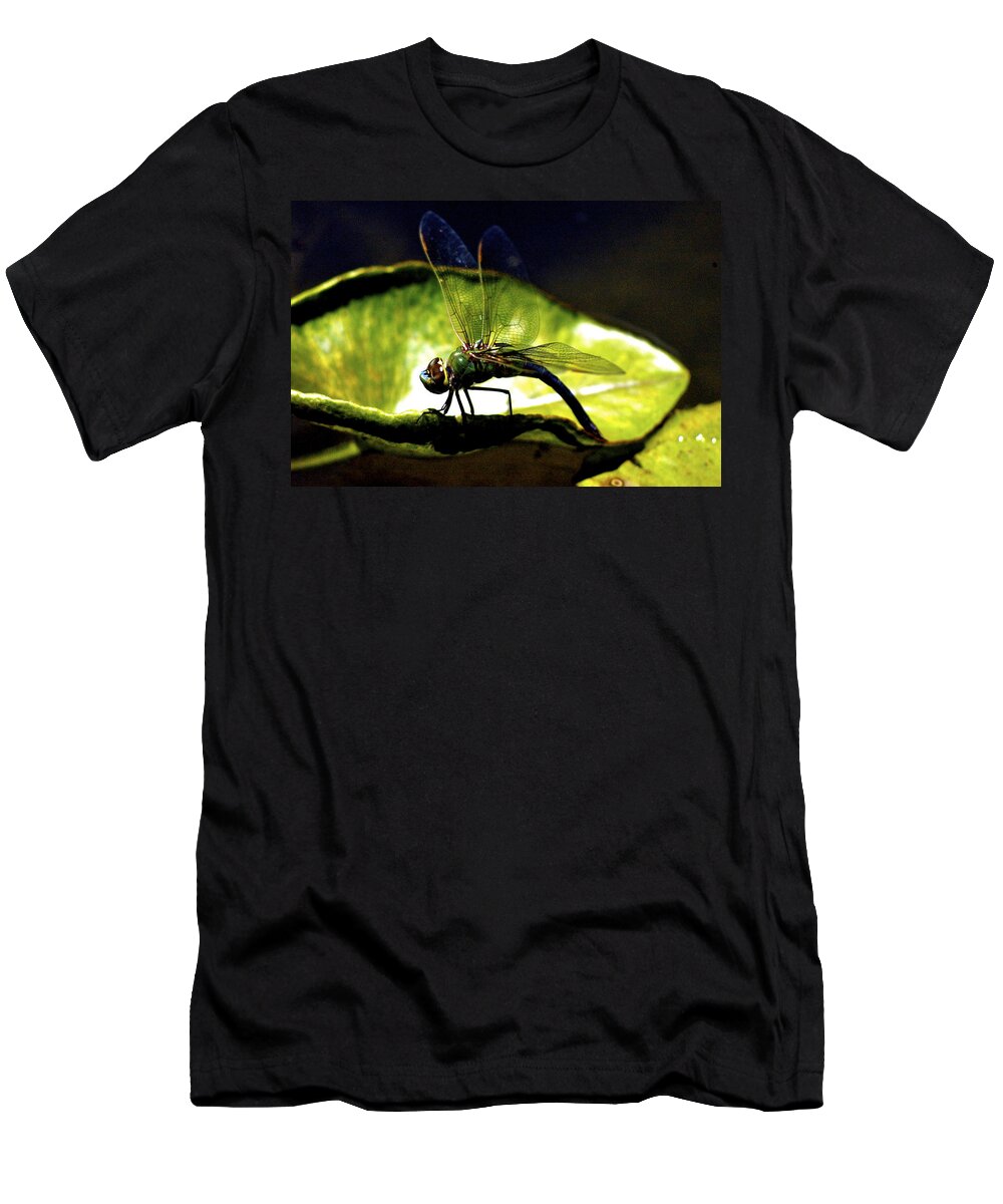 Dragonfly T-Shirt featuring the photograph Pinao, Giant Hawaiian Dragonfly by Lehua Pekelo-Stearns