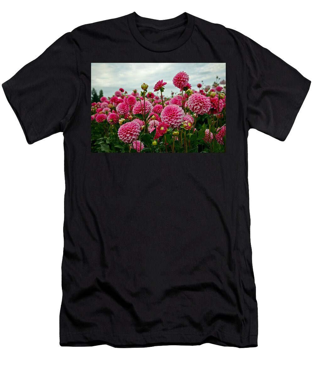 Dahlia T-Shirt featuring the photograph Pink Dahlia Field by Athena Mckinzie