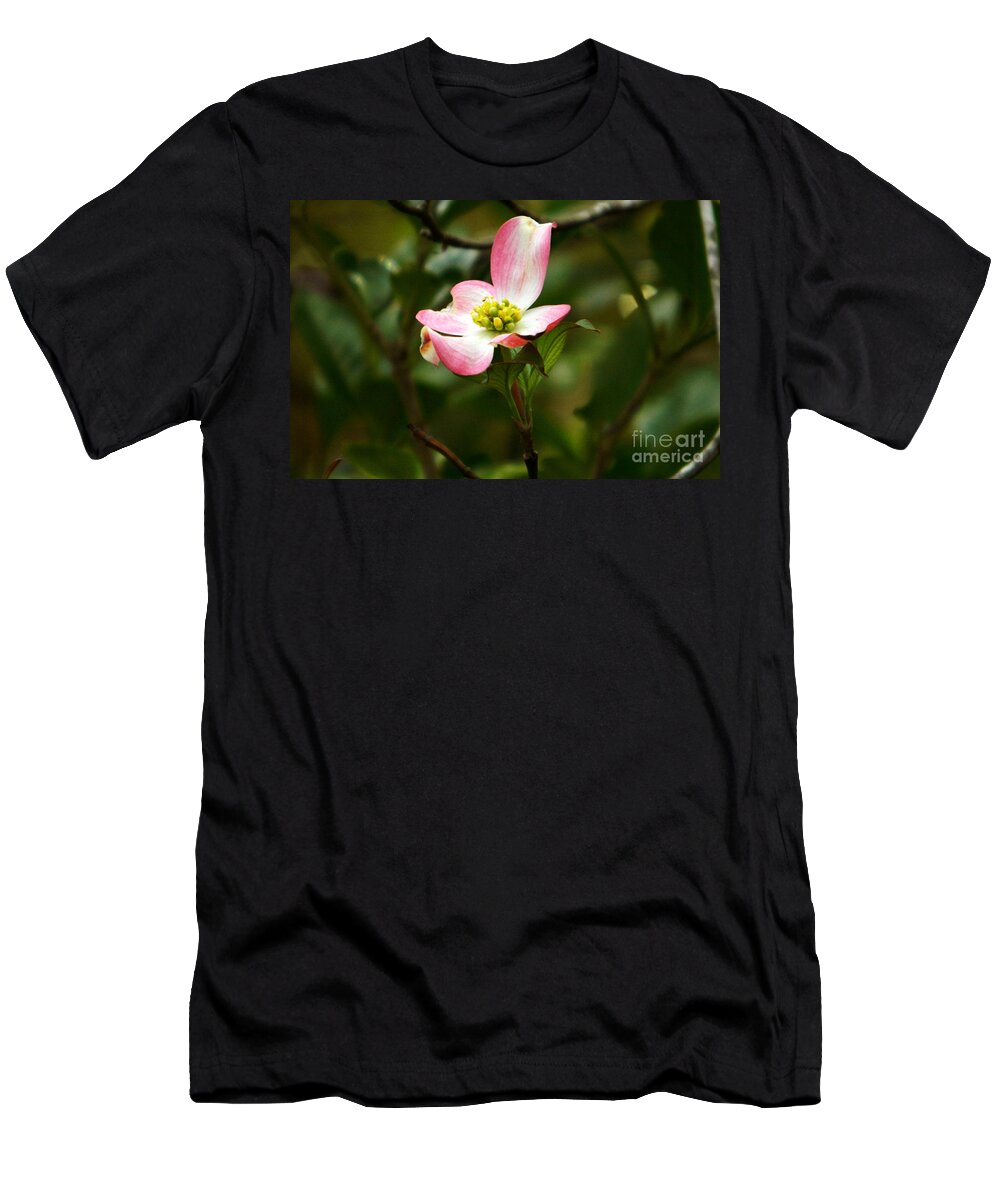 Dogwood T-Shirt featuring the photograph Pink dogwood 2 by Andrea Anderegg