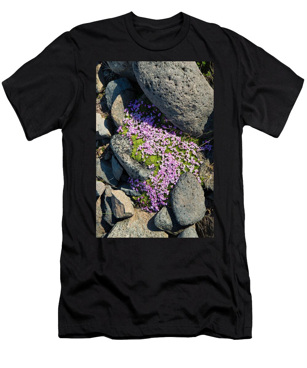 Flowers T-Shirt featuring the photograph Pink flowers in Iceland by Matthias Hauser