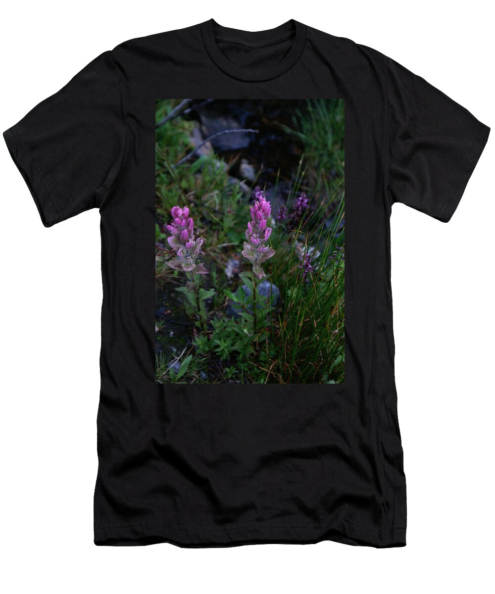 Landscapes T-Shirt featuring the photograph Pink Paintbrush by Jeremy Rhoades