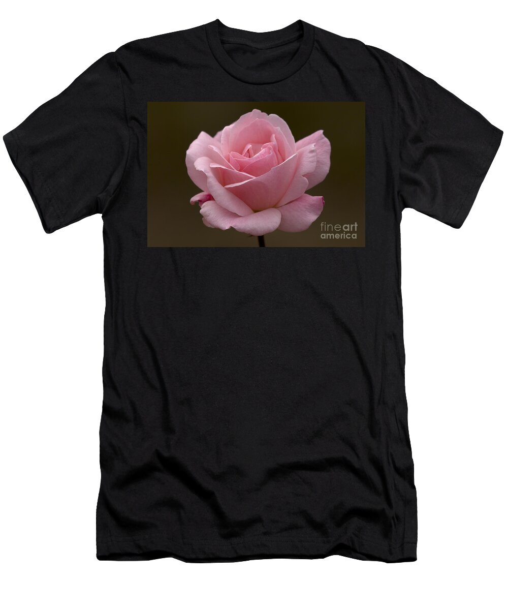 Rose T-Shirt featuring the photograph Pink Rose by Meg Rousher