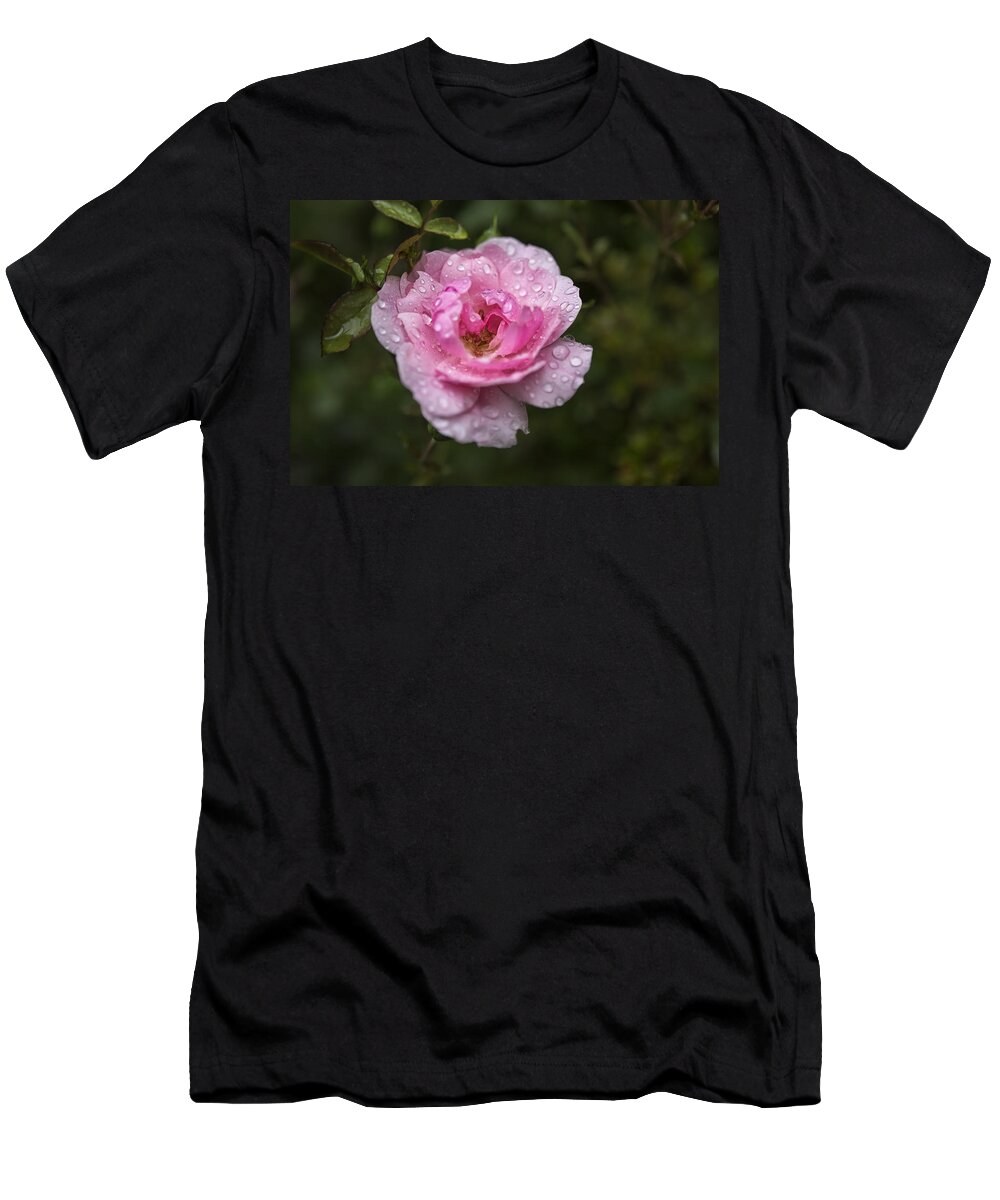 Rose T-Shirt featuring the photograph Pink Rose with Raindrops by Belinda Greb
