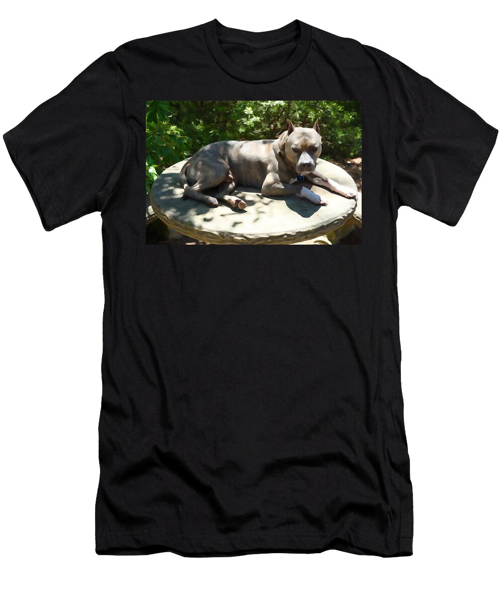 Dog T-Shirt featuring the photograph Pit Portrait by Norma Brock