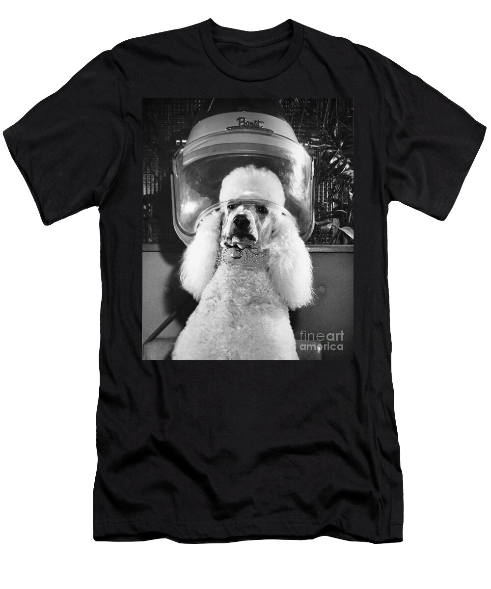 Animal T-Shirt featuring the photograph Poodle Perm by ME Browning