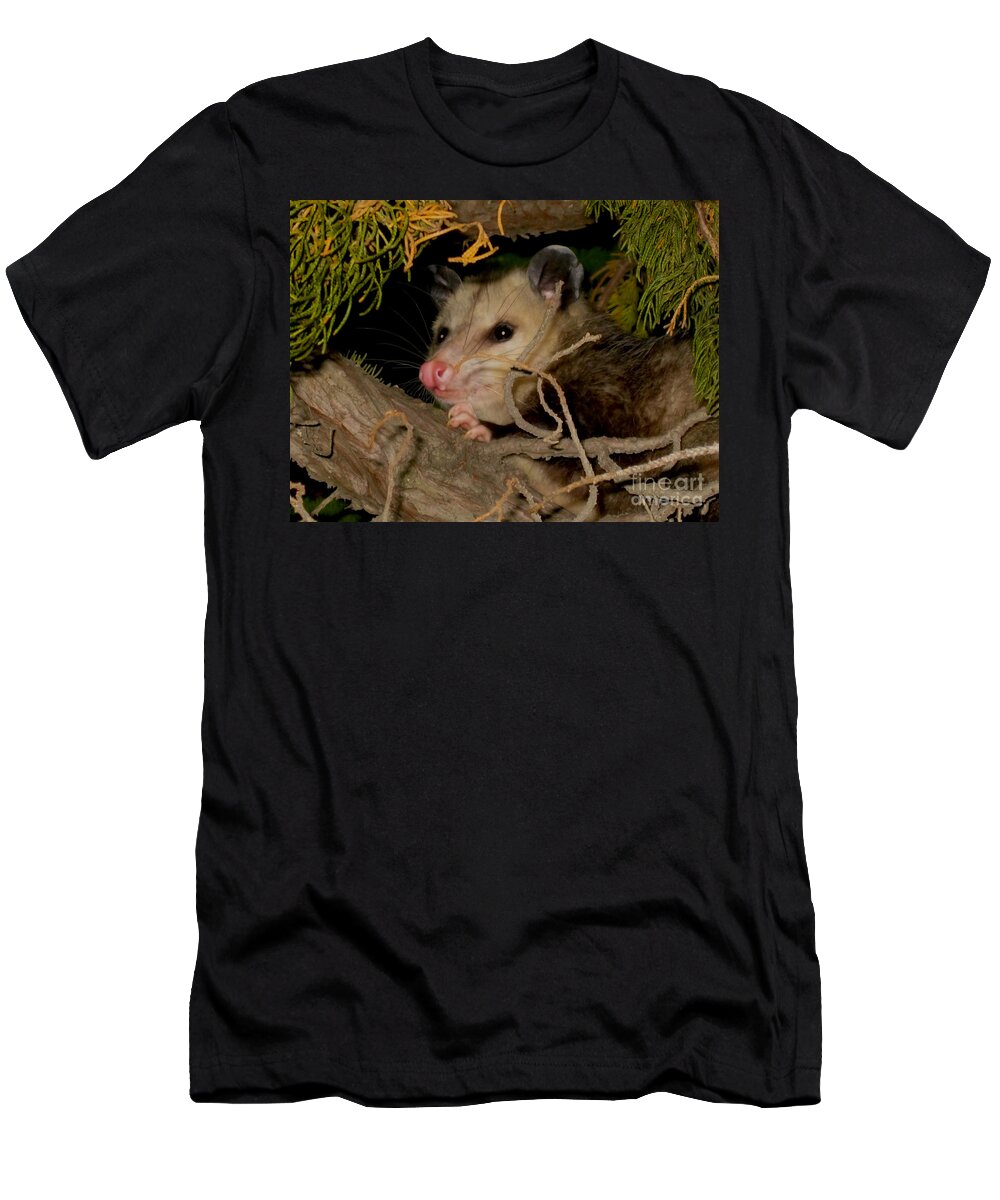 Claudia's Art Dream T-Shirt featuring the photograph Possum Portrait by Claudia Ellis