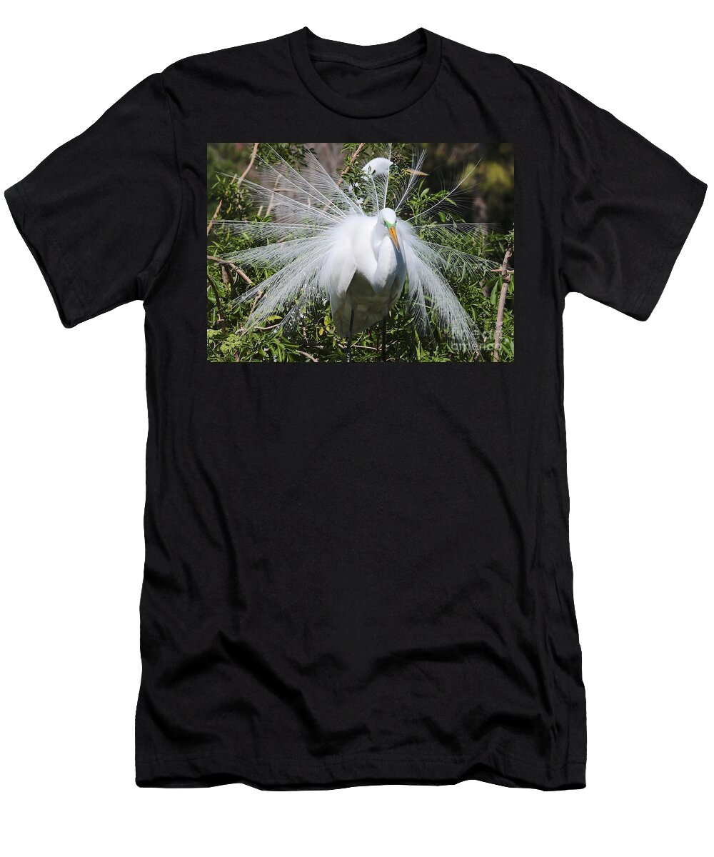 Egret T-Shirt featuring the photograph Pretty Plumage by Carol Groenen