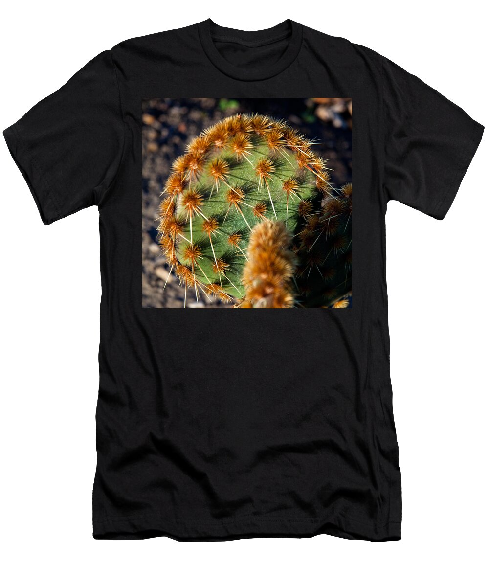Prickly Cactus Leaf Photographs T-Shirt featuring the photograph Prickly Cactus Leaf Green Brown Plant Fine Art Photography Print by Jerry Cowart