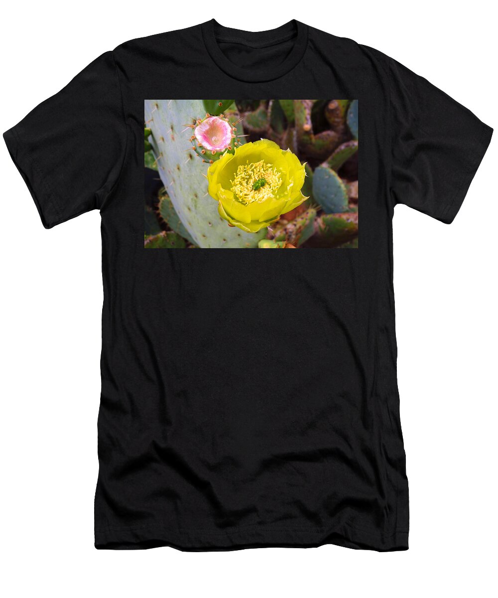 Prickly Pear T-Shirt featuring the photograph Prickly Pear Flower and Fruit by Robert Meyers-Lussier
