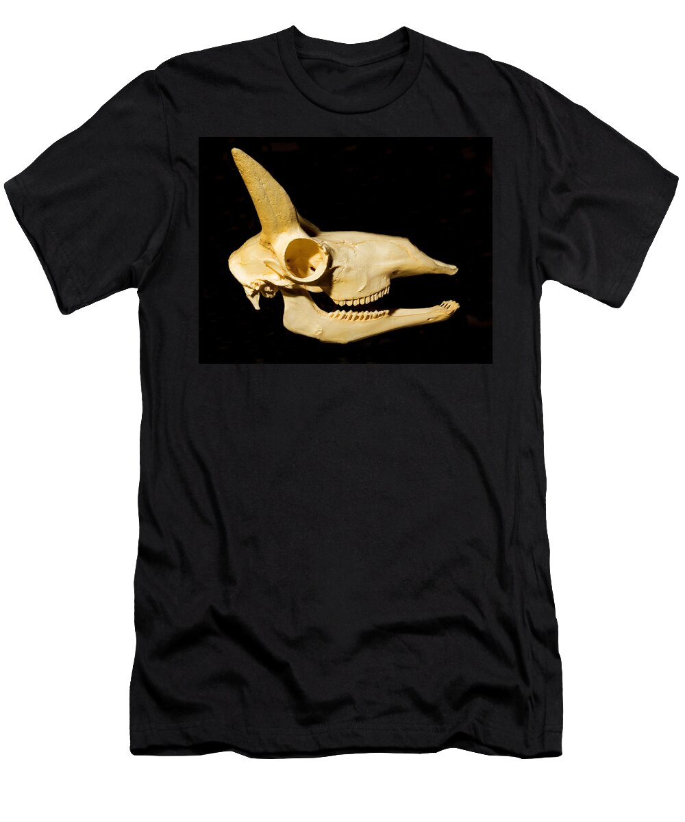 Nature T-Shirt featuring the photograph Pronghorn Antelope Skull by Millard H. Sharp