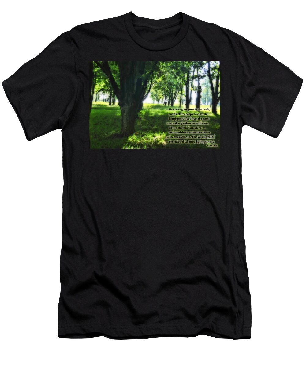 Trees T-Shirt featuring the photograph Psalm 104 by David Arment