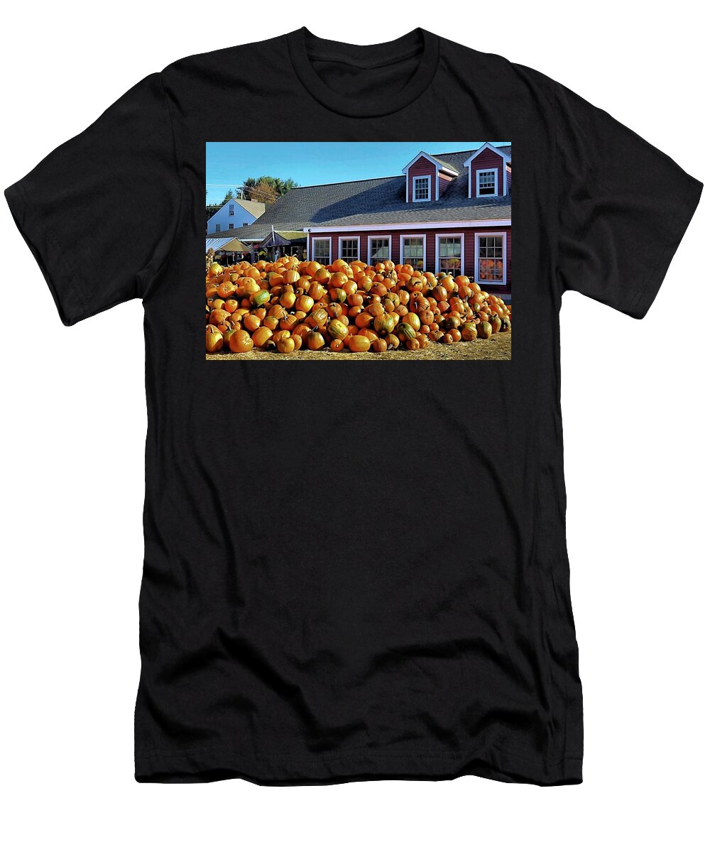 Pumpkin T-Shirt featuring the photograph Pumpkin Reflections by Janice Drew