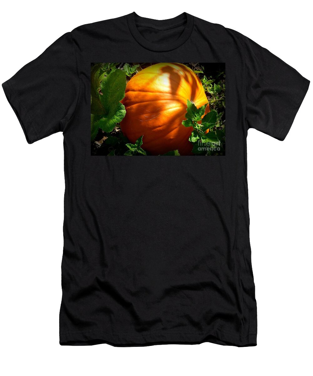 Fall Season T-Shirt featuring the photograph Pumpkin Shade by Susan Garren