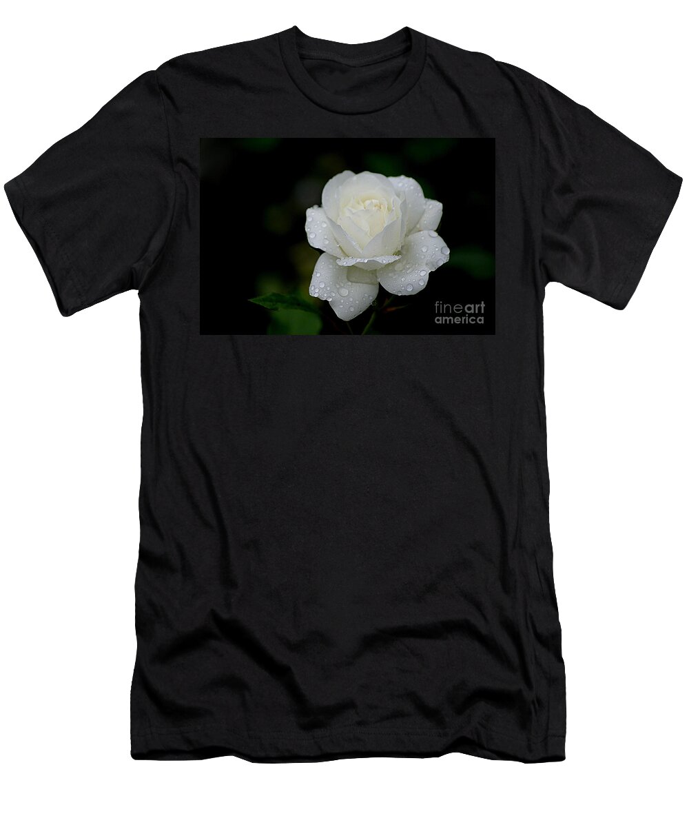White Rose T-Shirt featuring the photograph Pure Heaven by Living Color Photography Lorraine Lynch