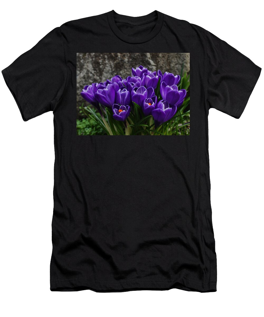 Crocus T-Shirt featuring the photograph Purple Crocus by Ron Roberts