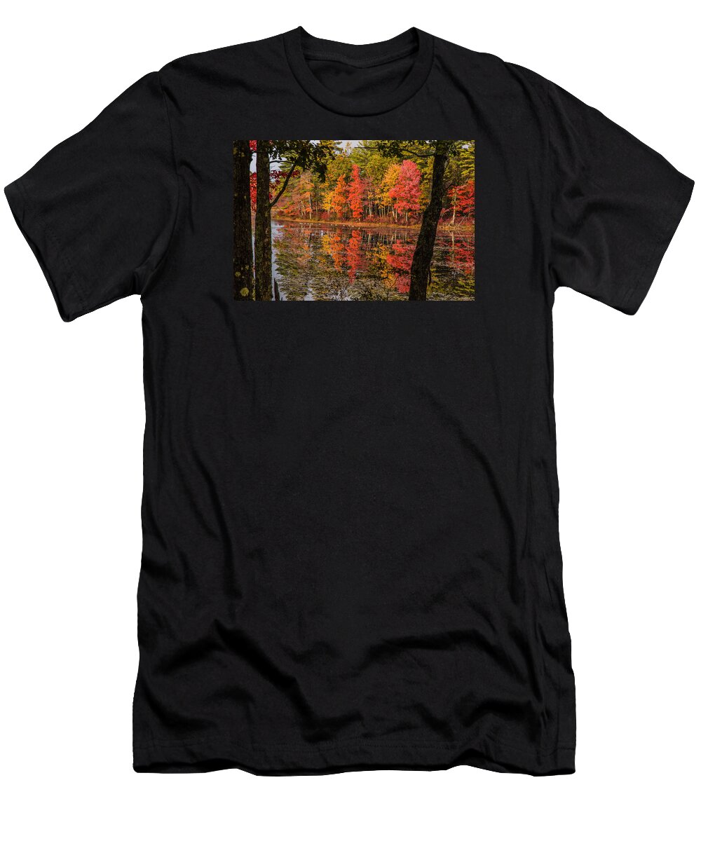 #foliage_reports T-Shirt featuring the photograph Quabbin reservoir fall foliage by Jeff Folger