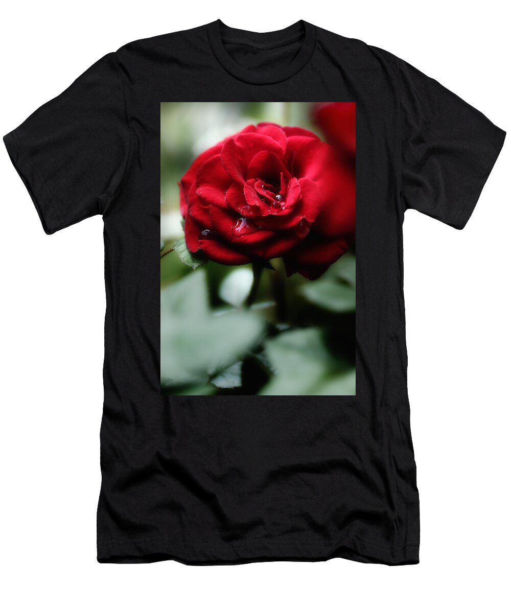 Red Rose T-Shirt featuring the photograph Quietly My Tears Fall by Michael Eingle