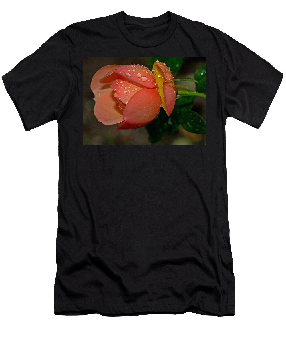 Rose T-Shirt featuring the photograph Raindrops on Roses by Farol Tomson