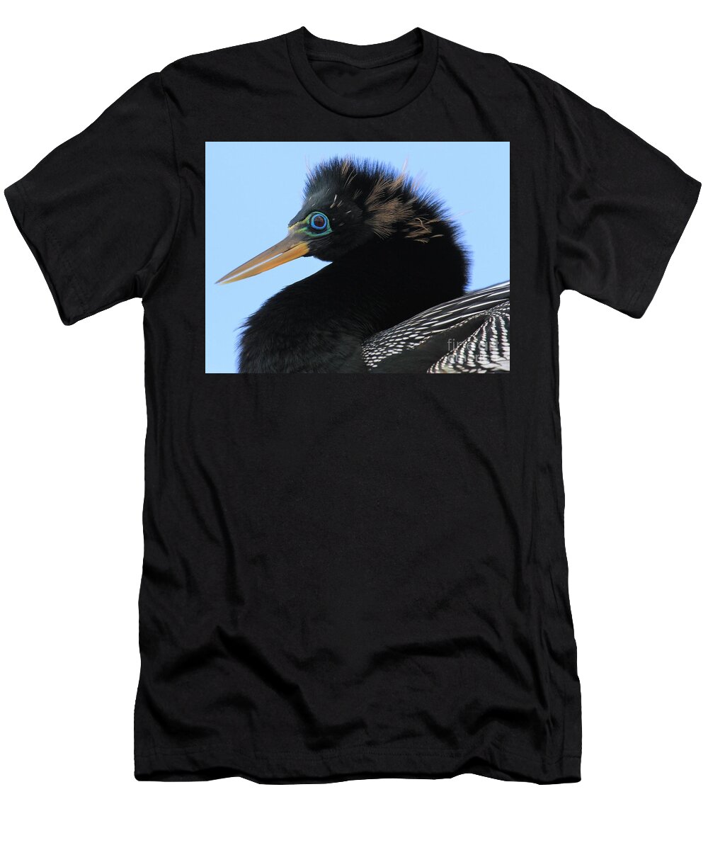Anhinga T-Shirt featuring the photograph Ready For A Night Out by Adam Jewell