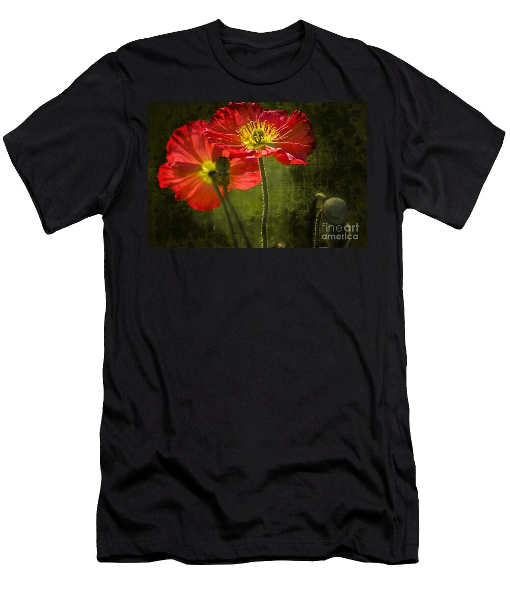 Poppy T-Shirt featuring the photograph Red Beauties in the Field by Heiko Koehrer-Wagner