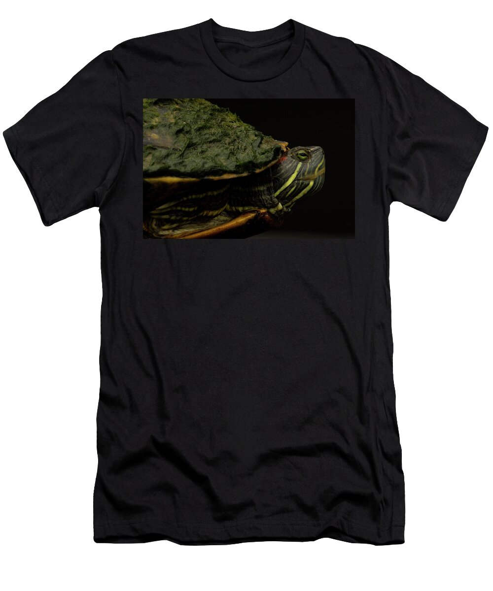 Backyard T-Shirt featuring the photograph Red-eared Slider by Aaron Ansarov