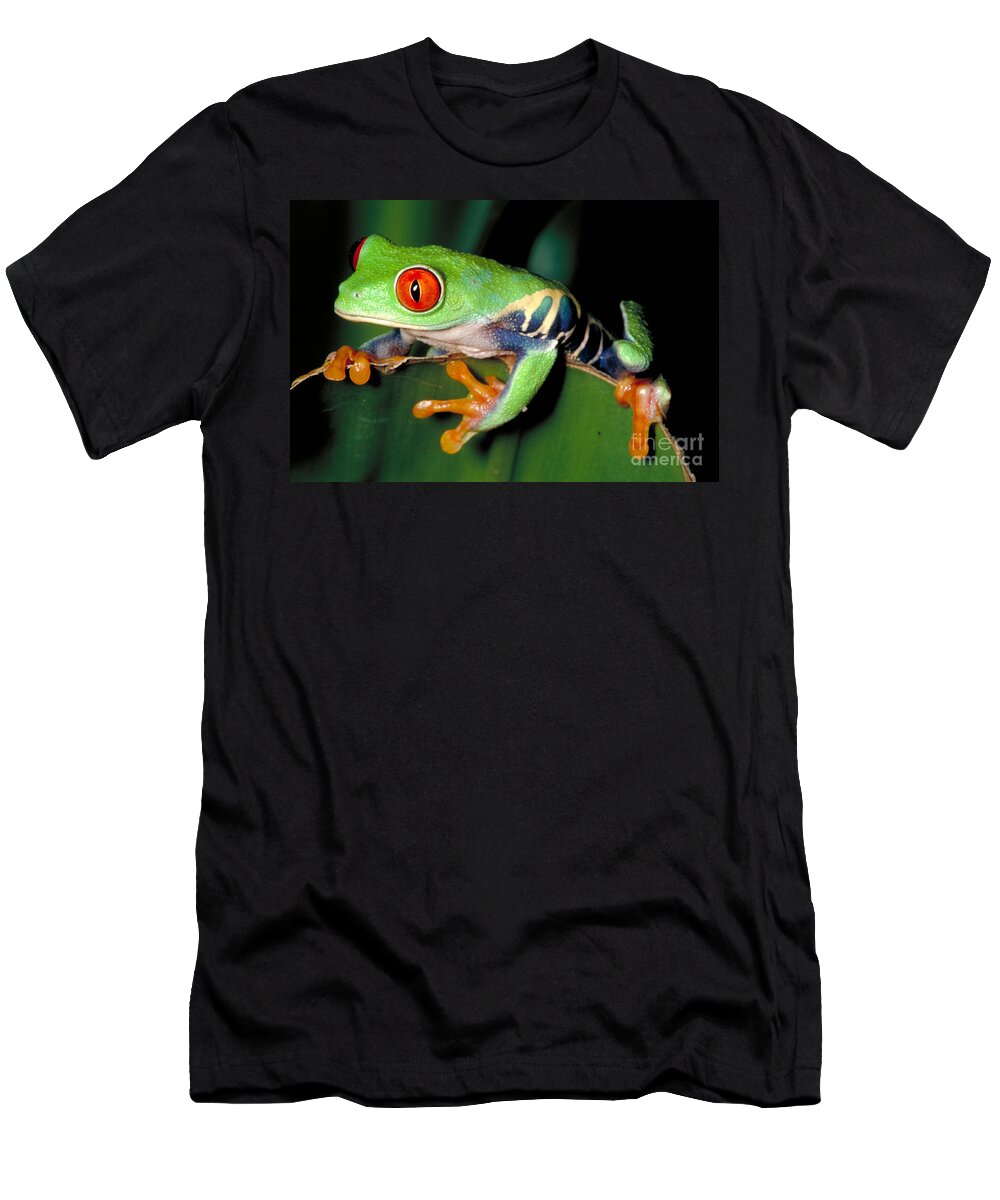 Amphibian T-Shirt featuring the photograph Red Eyed Tree Frog by Gregory G. Dimijian