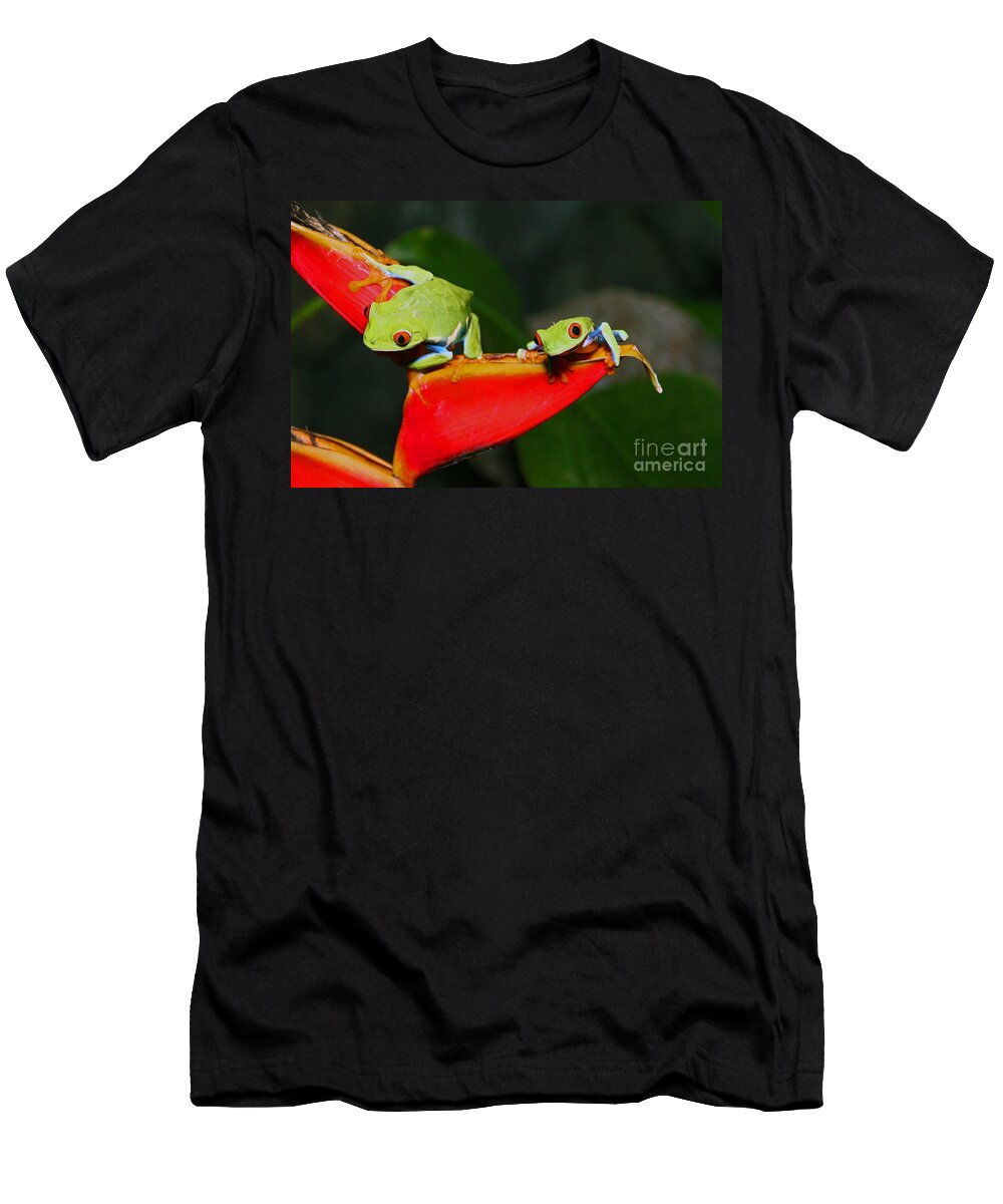 Wildlife T-Shirt featuring the photograph Red eyed tree frogs by Bob Hislop