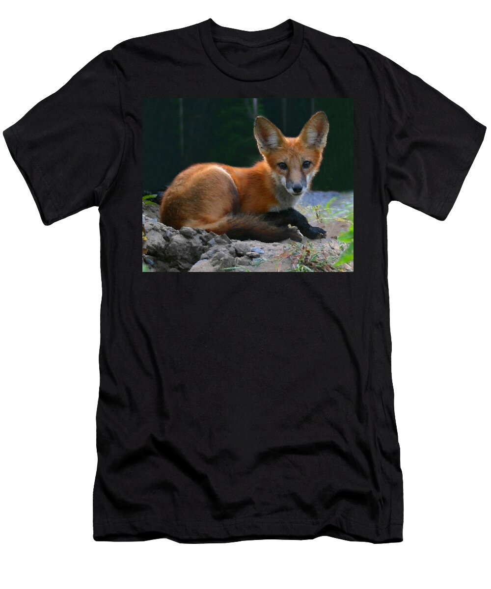 Red Fox T-Shirt featuring the photograph Red Fox by Kristin Elmquist