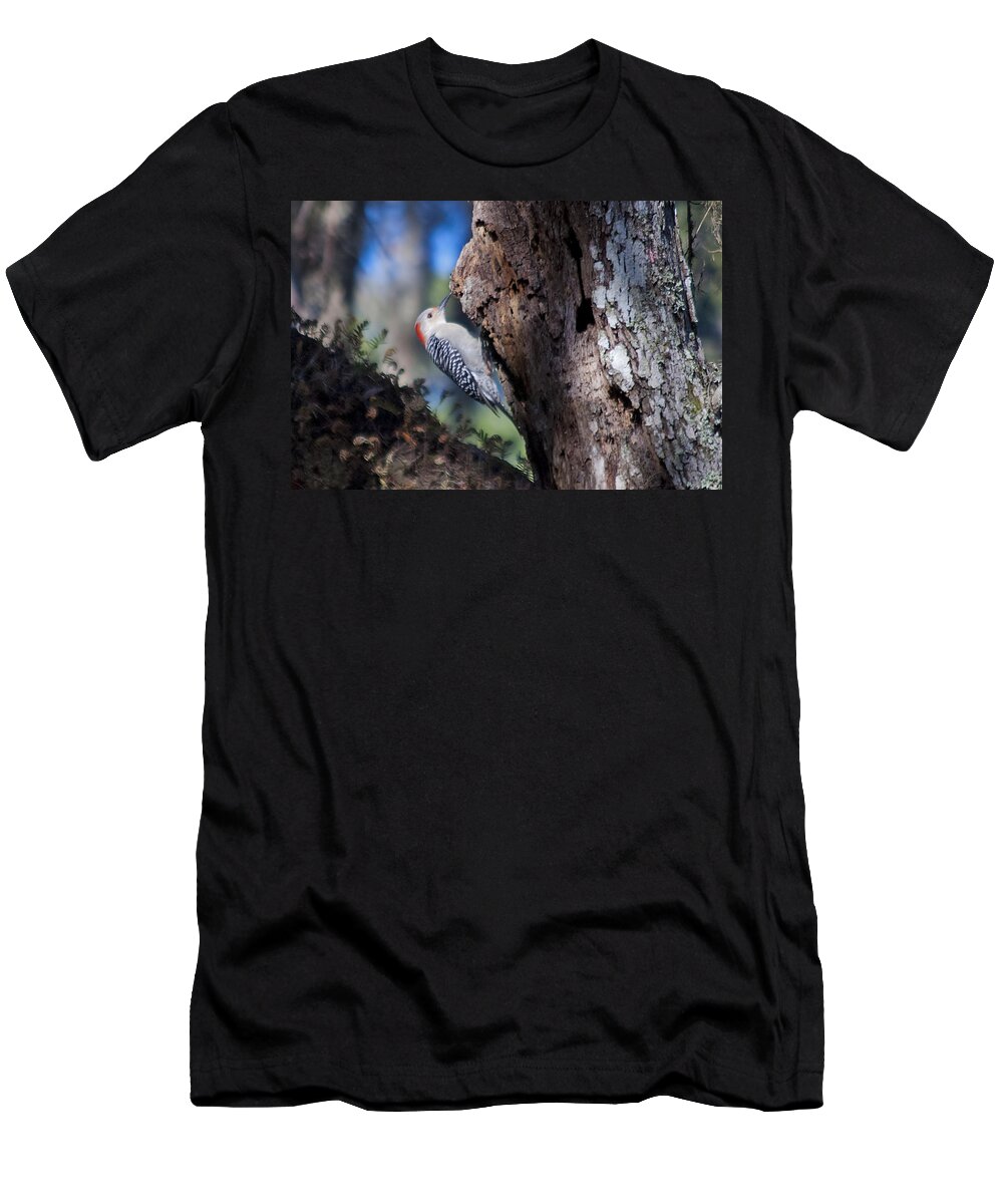 Wildlife T-Shirt featuring the photograph Red Headed Woodpecker by Kenneth Albin