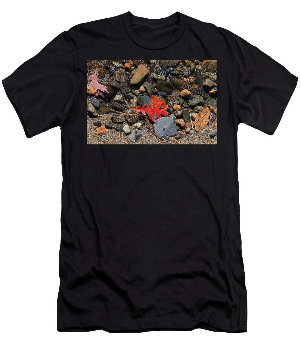 Wachusett Reservoir T-Shirt featuring the photograph Red Oak Leaf by Michael Saunders