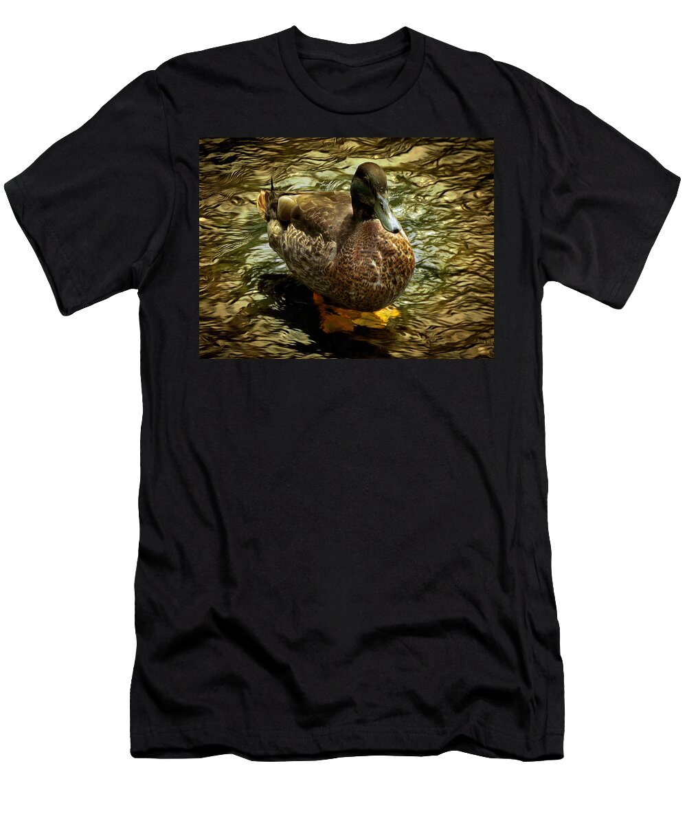 Duck T-Shirt featuring the photograph Relaxing by Steve Taylor