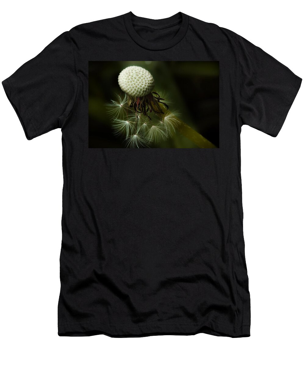 Dandelion T-Shirt featuring the photograph Life Is Short by Michael Eingle