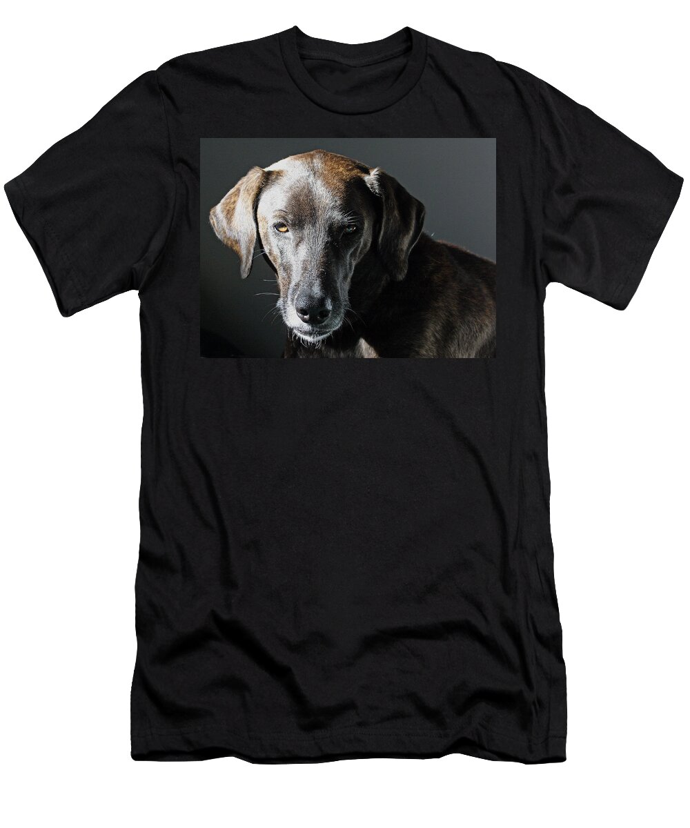 Dogs T-Shirt featuring the photograph Rescue Dog - Osa by Peggy Collins