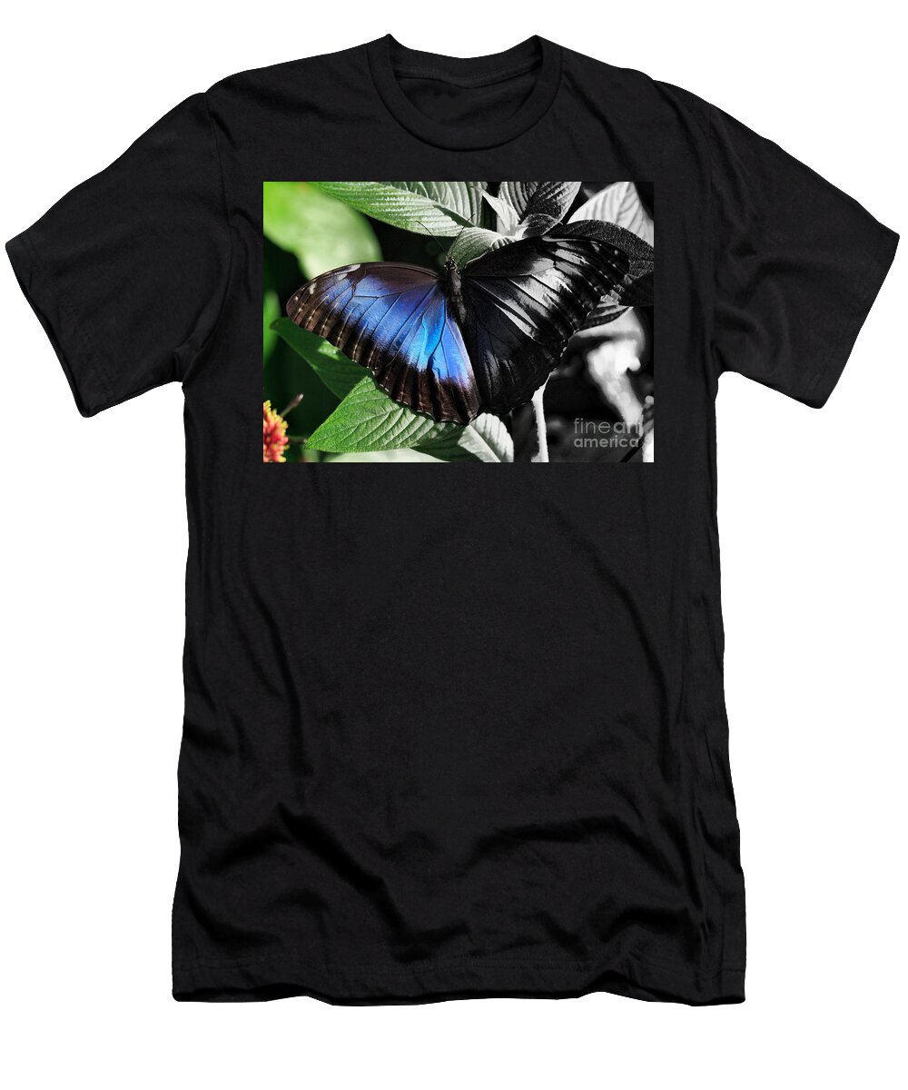 Peleides Blue Morpho T-Shirt featuring the photograph Reveal by Louise Heusinkveld