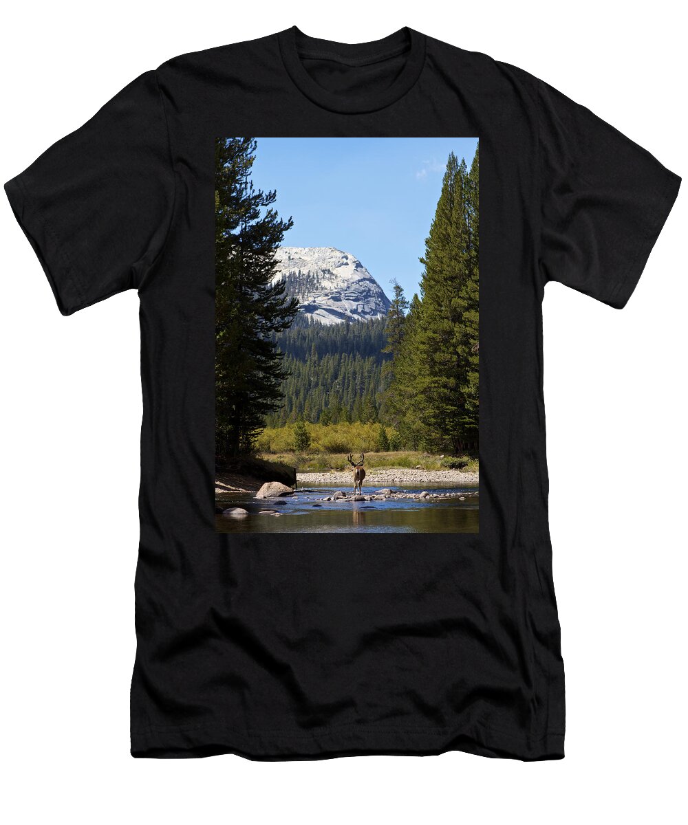 Yosemite National Park T-Shirt featuring the photograph River crossing by Duncan Selby