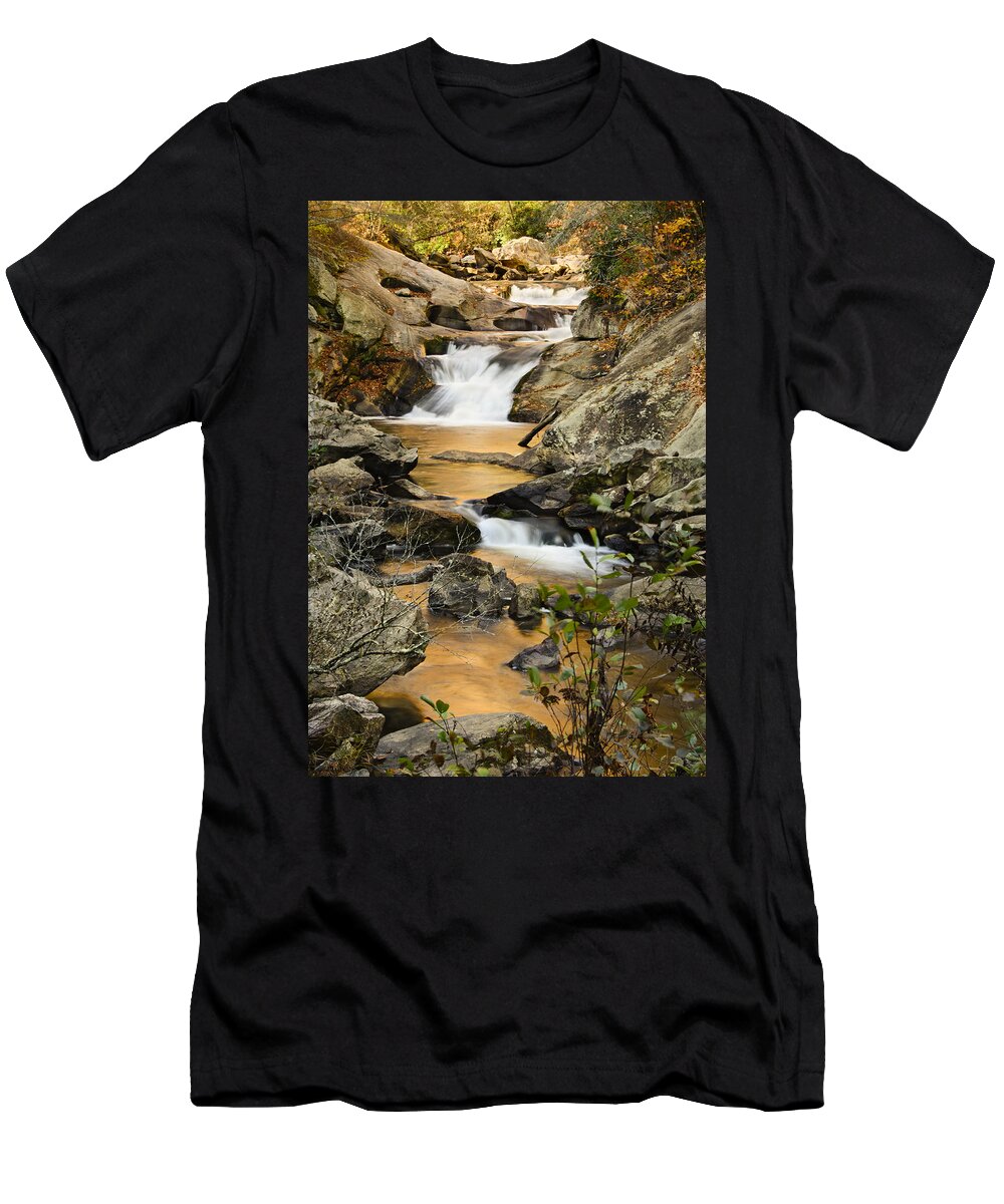 Autumn T-Shirt featuring the photograph River of Gold by Penny Lisowski