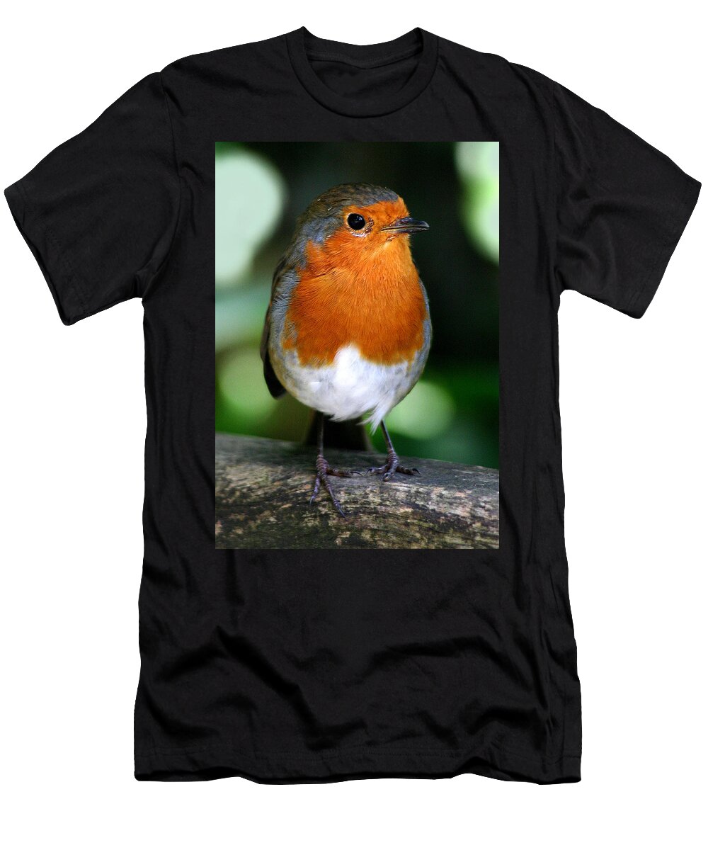  Robin T-Shirt featuring the photograph Robin by John Topman