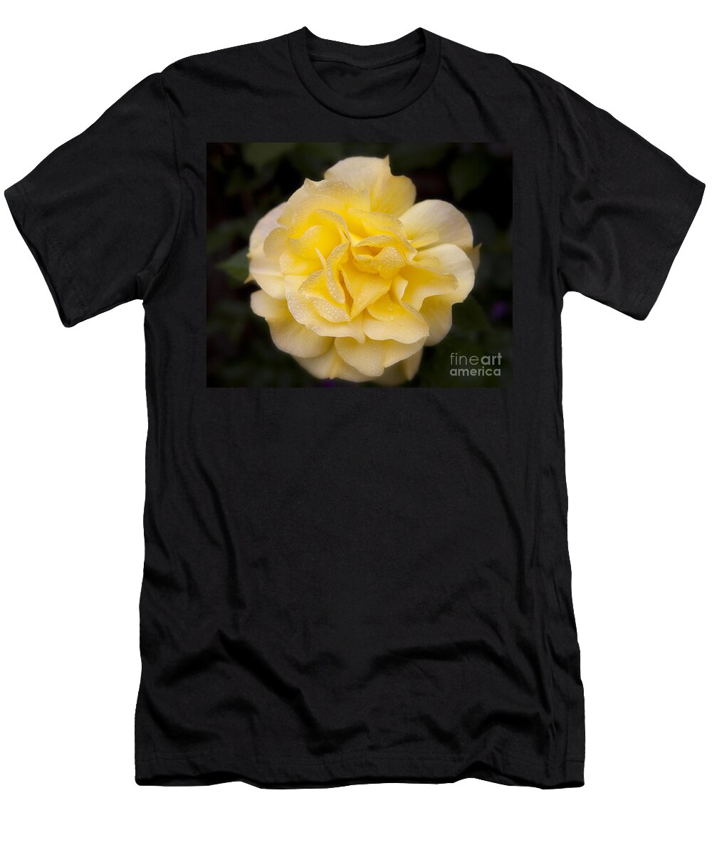 Romantic Yellow Rose Flower With Dew Drops Fine Art Photography Print T-Shirt featuring the photograph Romantic Yellow Rose Flower With Dew Drops by Jerry Cowart