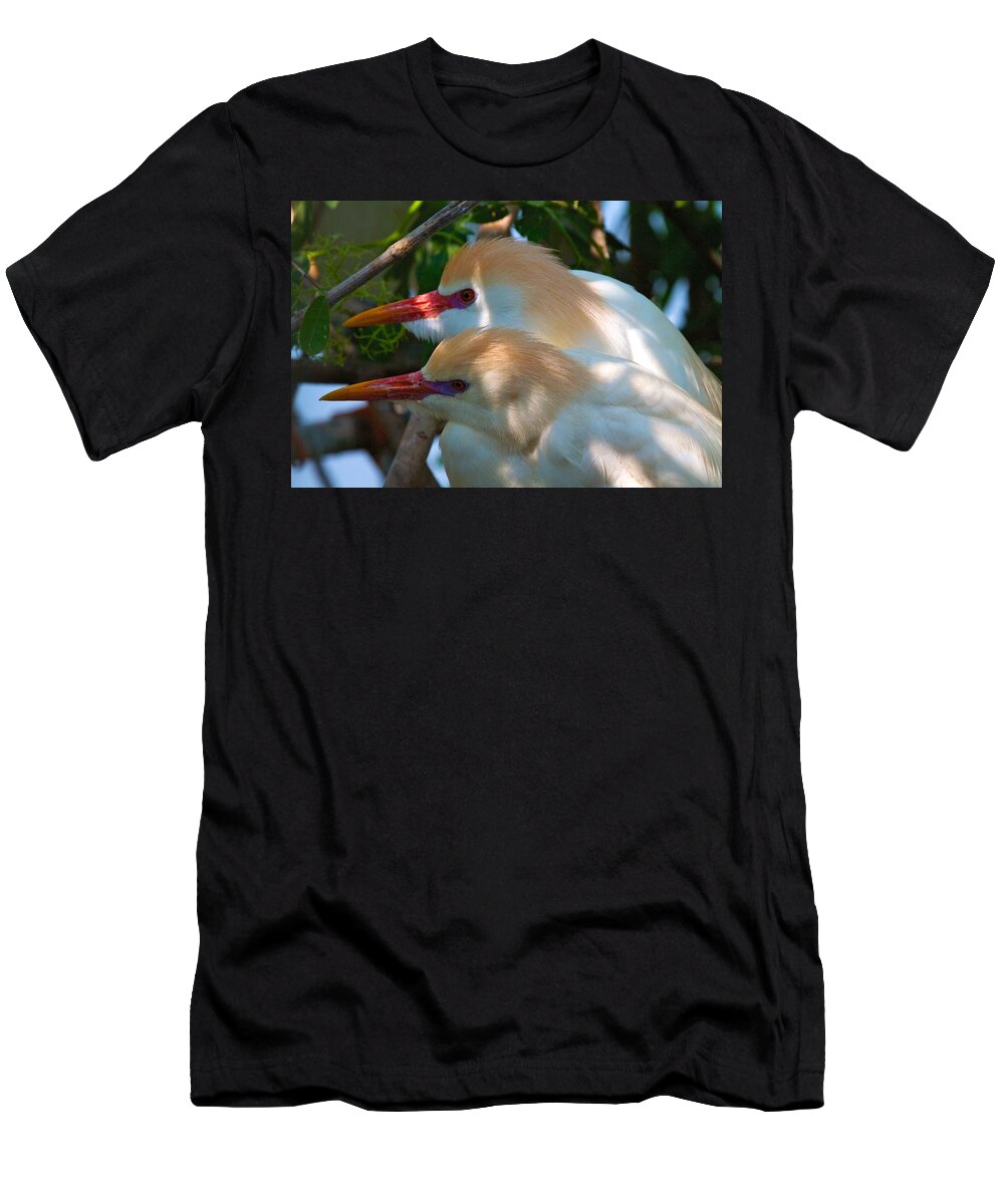 Wildbird Rookery T-Shirt featuring the photograph Rookery 8 by David Beebe