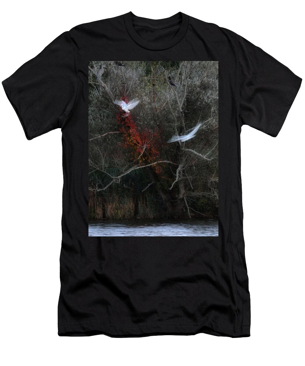 Bird T-Shirt featuring the photograph Roost by Mark Fuller