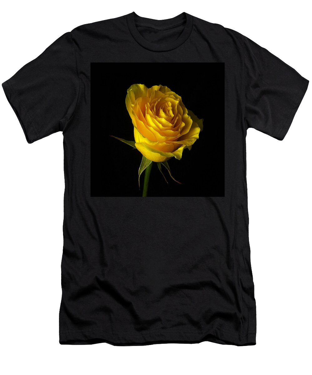 Rose T-Shirt featuring the photograph Rose 1 by Ingrid Smith-Johnsen