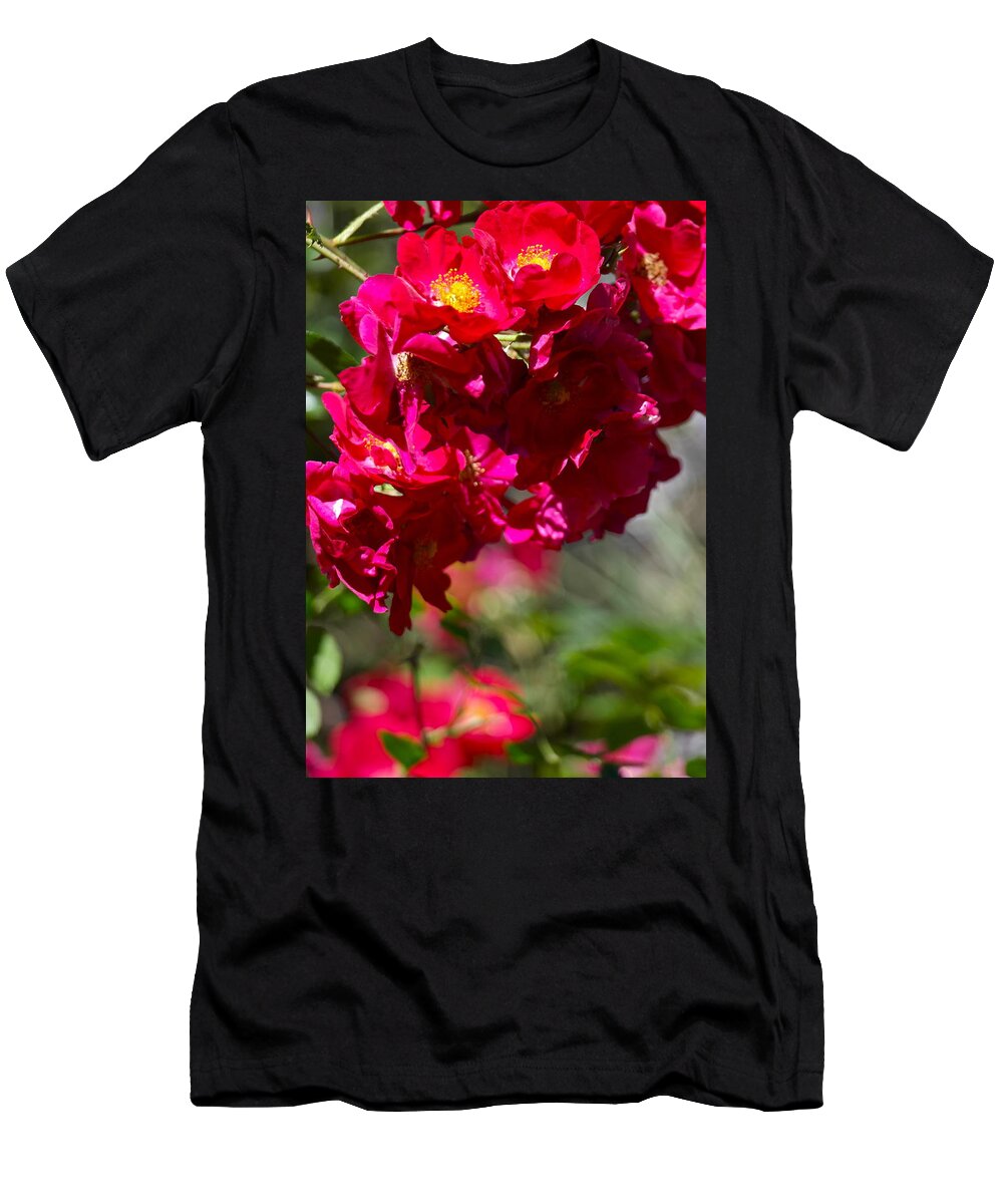 Roses T-Shirt featuring the photograph Rose Bouquet by Michele Myers