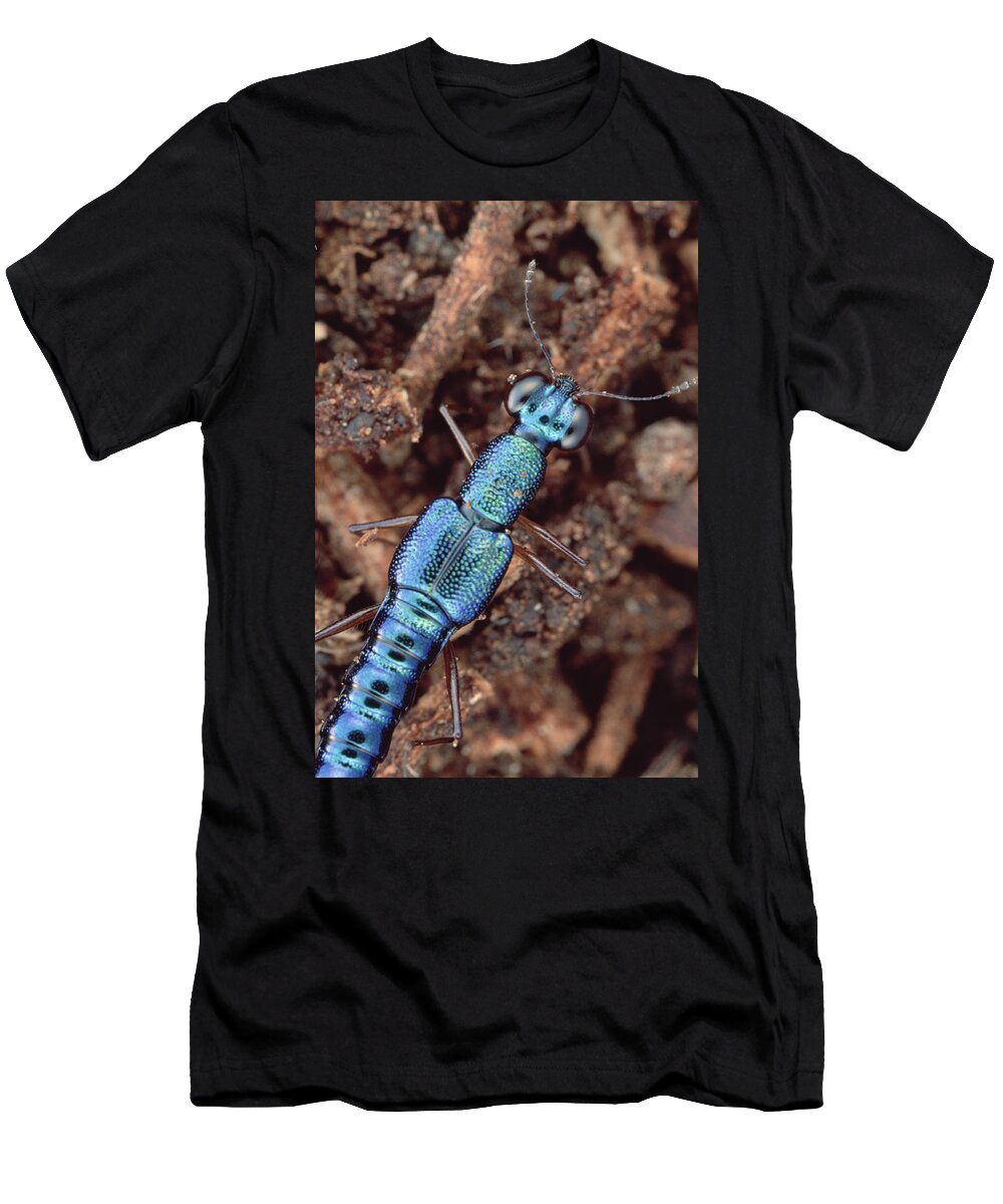 Feb0514 T-Shirt featuring the photograph Rove Beetle Papua New Guinea by Mark Moffett