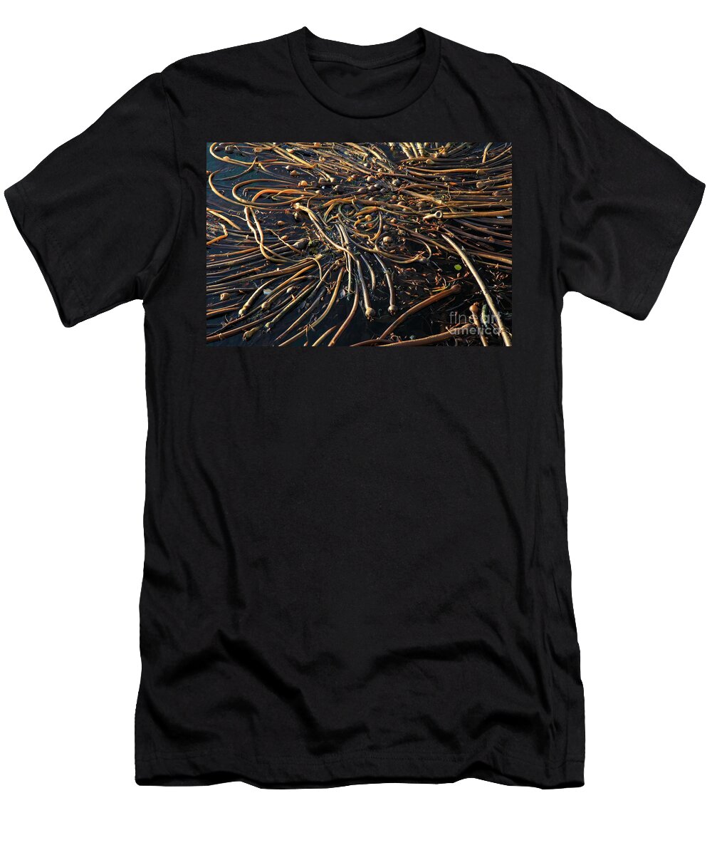 Port Angeles T-Shirt featuring the photograph Seaweed Swamp by Adam Jewell