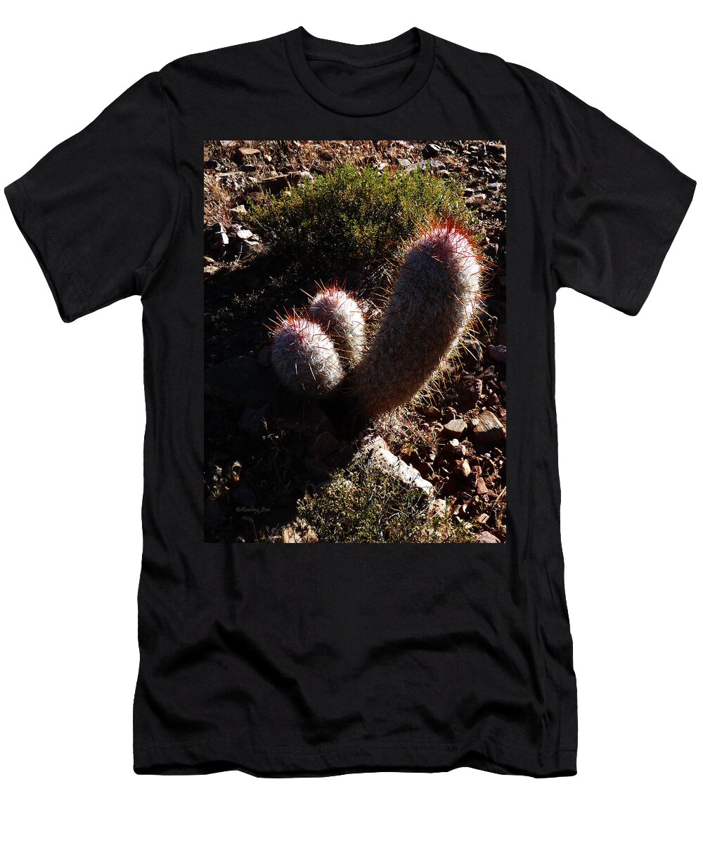 Prickly T-Shirt featuring the photograph Senor Cacti by Xueling Zou