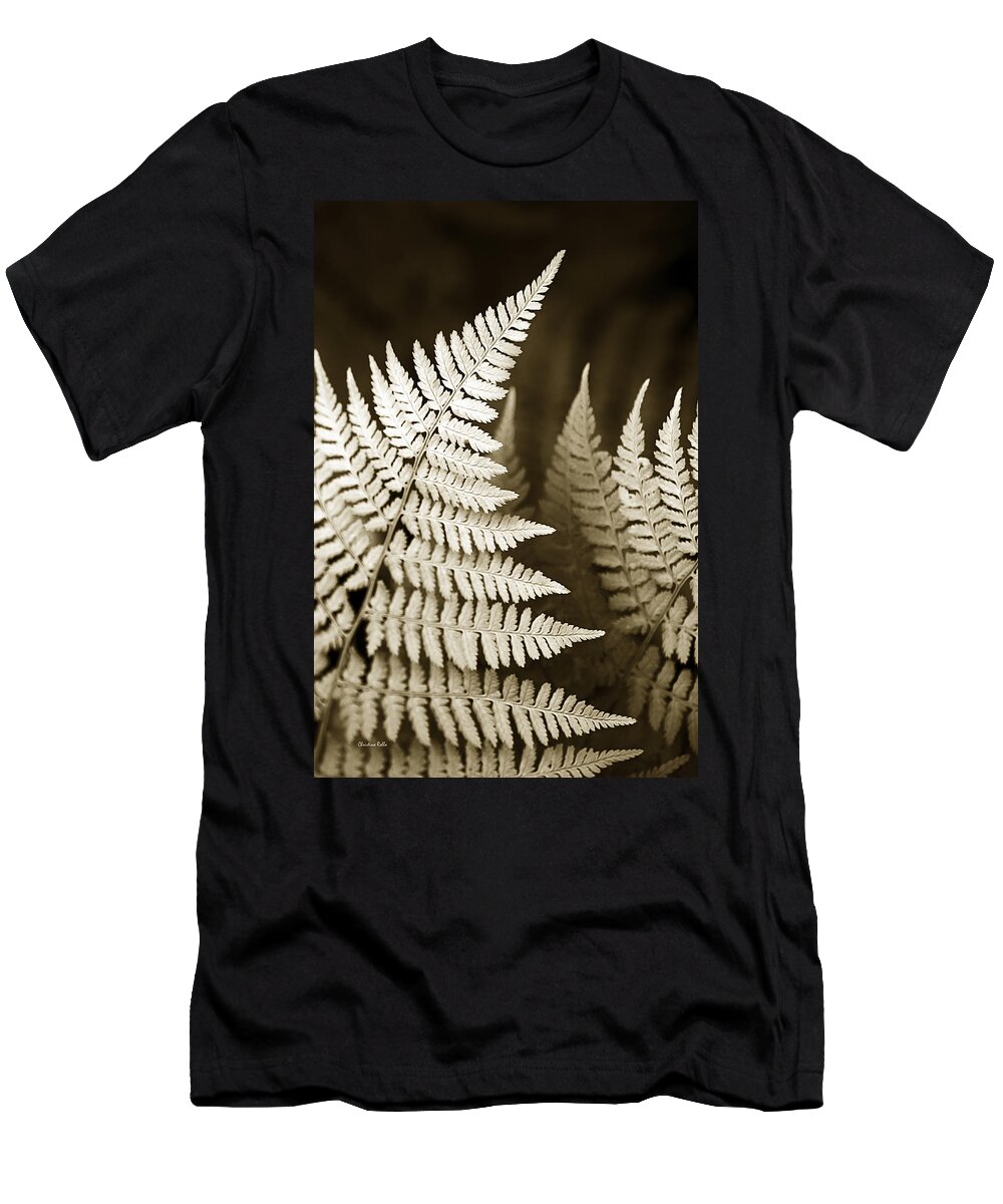 Fern Leaf T-Shirt featuring the photograph Sepia Fern Leaf by Christina Rollo