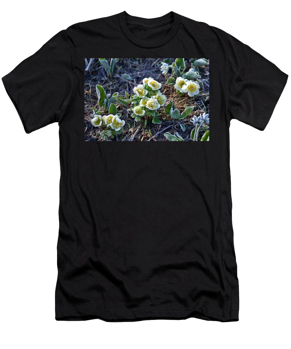 Wildflowers T-Shirt featuring the photograph She is Fragile by Jeremy Rhoades