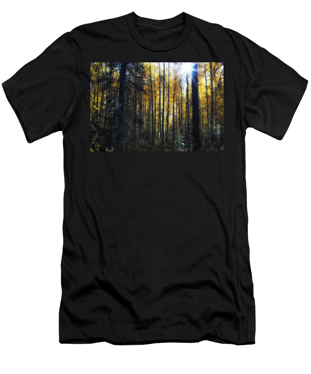 Aspen T-Shirt featuring the photograph Shining Through by Belinda Greb